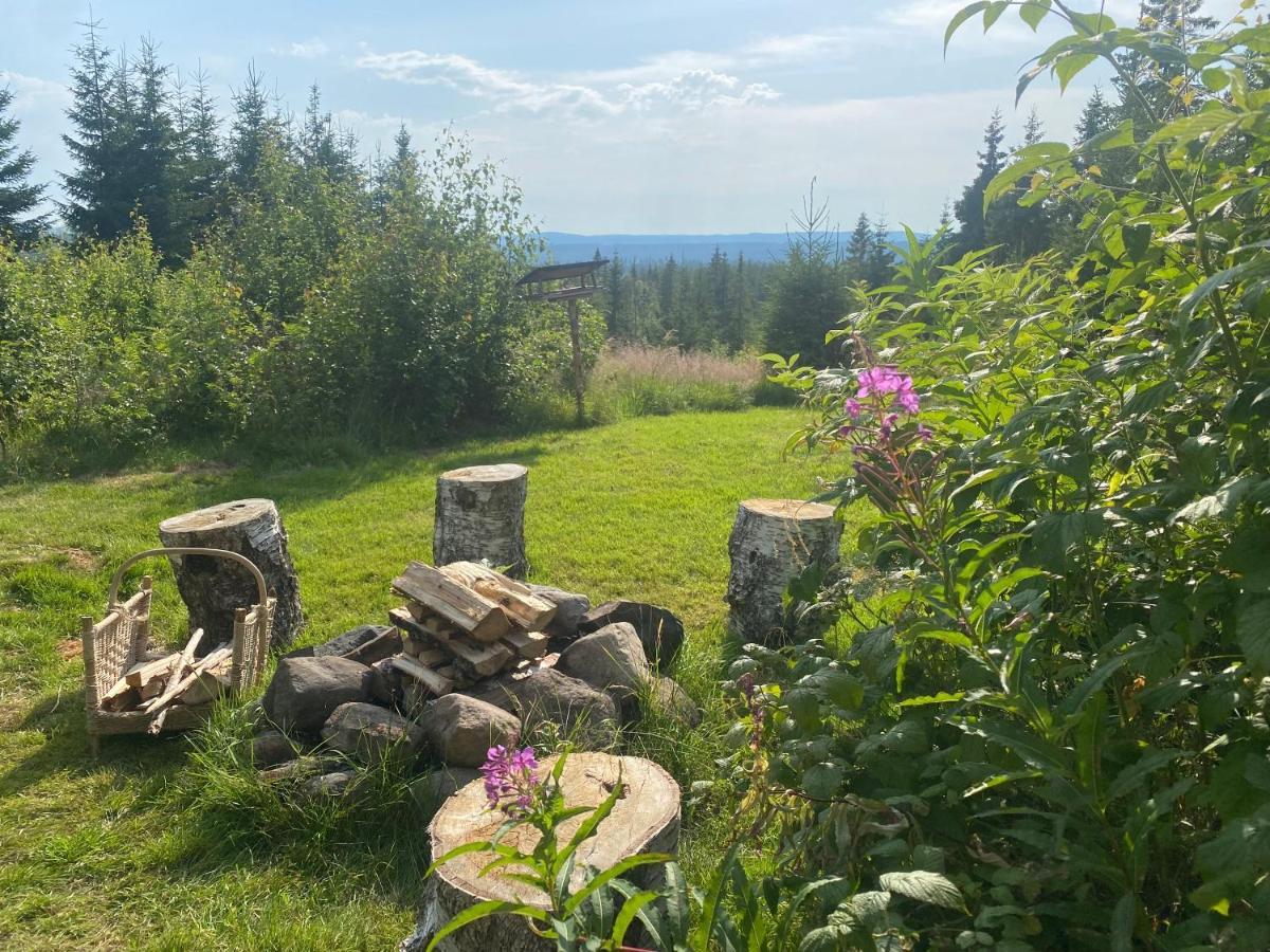 Cozy Forest Cabin With Amazing Mountain View Torsby Εξωτερικό φωτογραφία