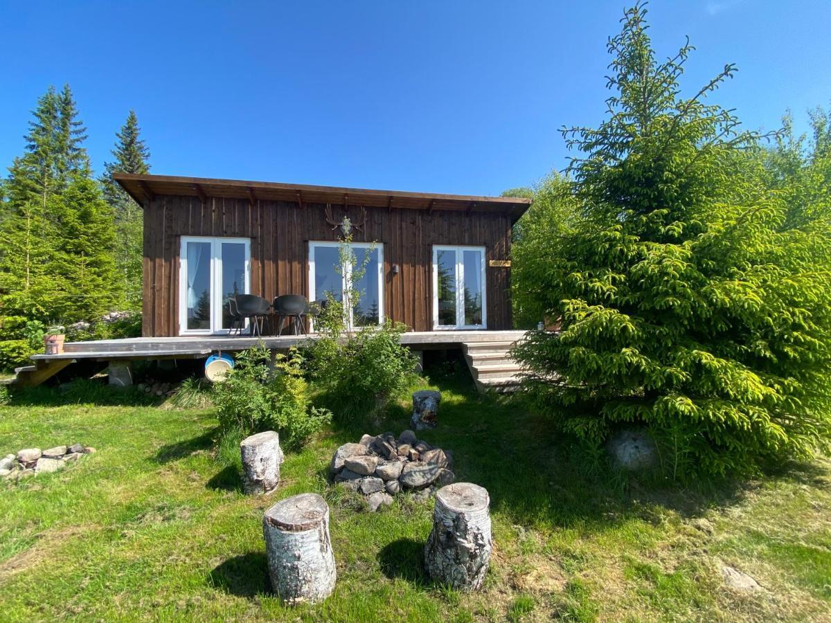 Cozy Forest Cabin With Amazing Mountain View Torsby Εξωτερικό φωτογραφία