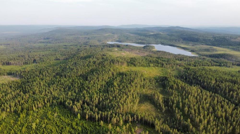 Cozy Forest Cabin With Amazing Mountain View Torsby Εξωτερικό φωτογραφία