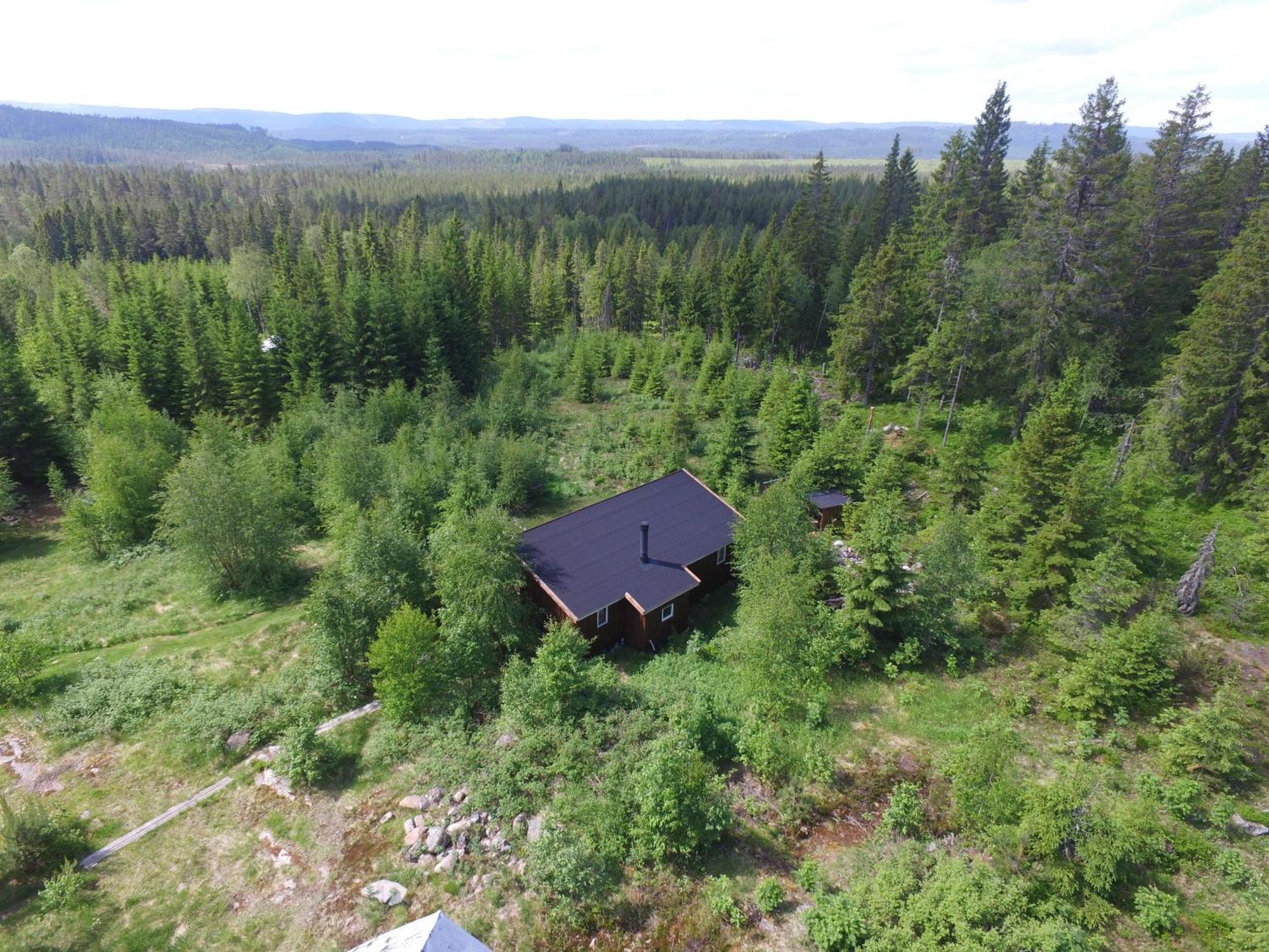 Cozy Forest Cabin With Amazing Mountain View Torsby Εξωτερικό φωτογραφία