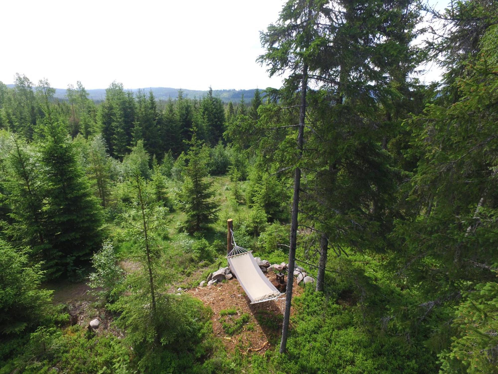 Cozy Forest Cabin With Amazing Mountain View Torsby Εξωτερικό φωτογραφία